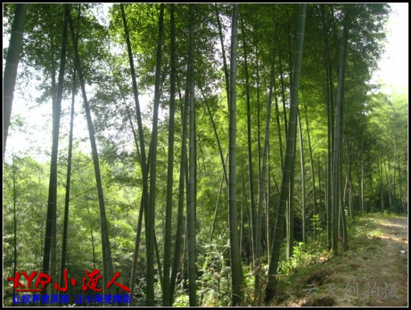 conew_img_5627.jpg