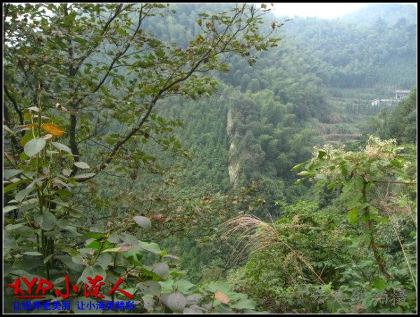 conew_img_5653.jpg