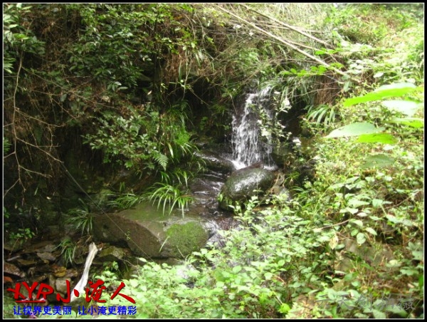 conew_img_5684.jpg