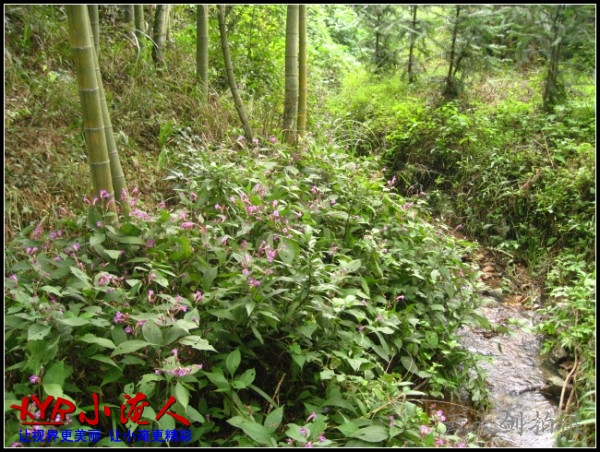 conew_img_5685.jpg