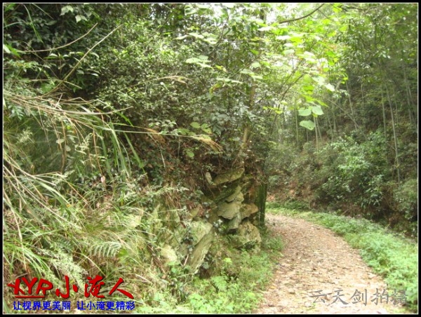 conew_img_5705.jpg