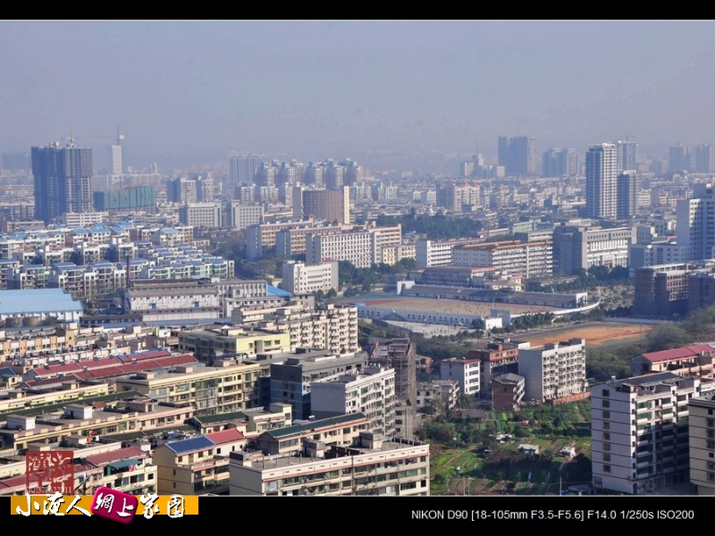 DSC_1352.JPG