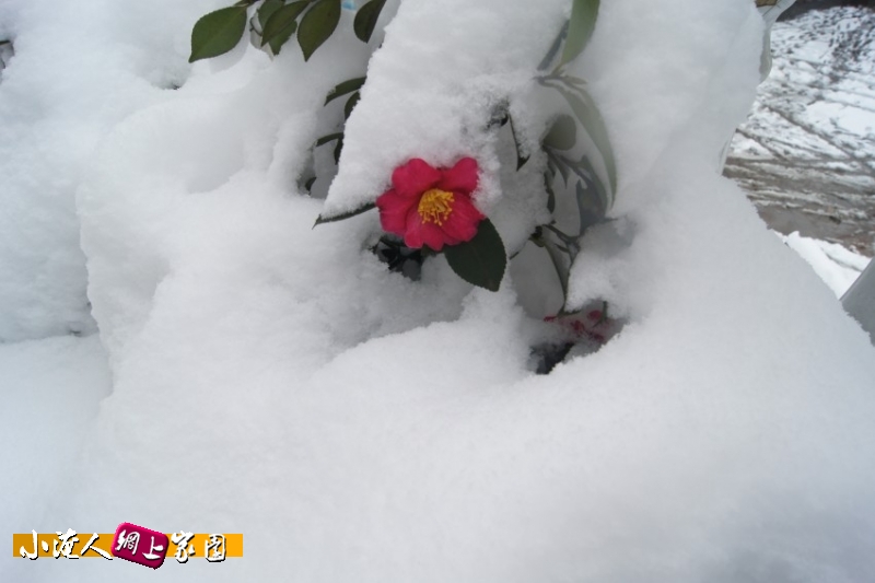 DSC03043_conew1.jpg