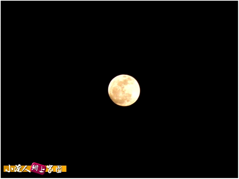 月亮粑粑3.jpg