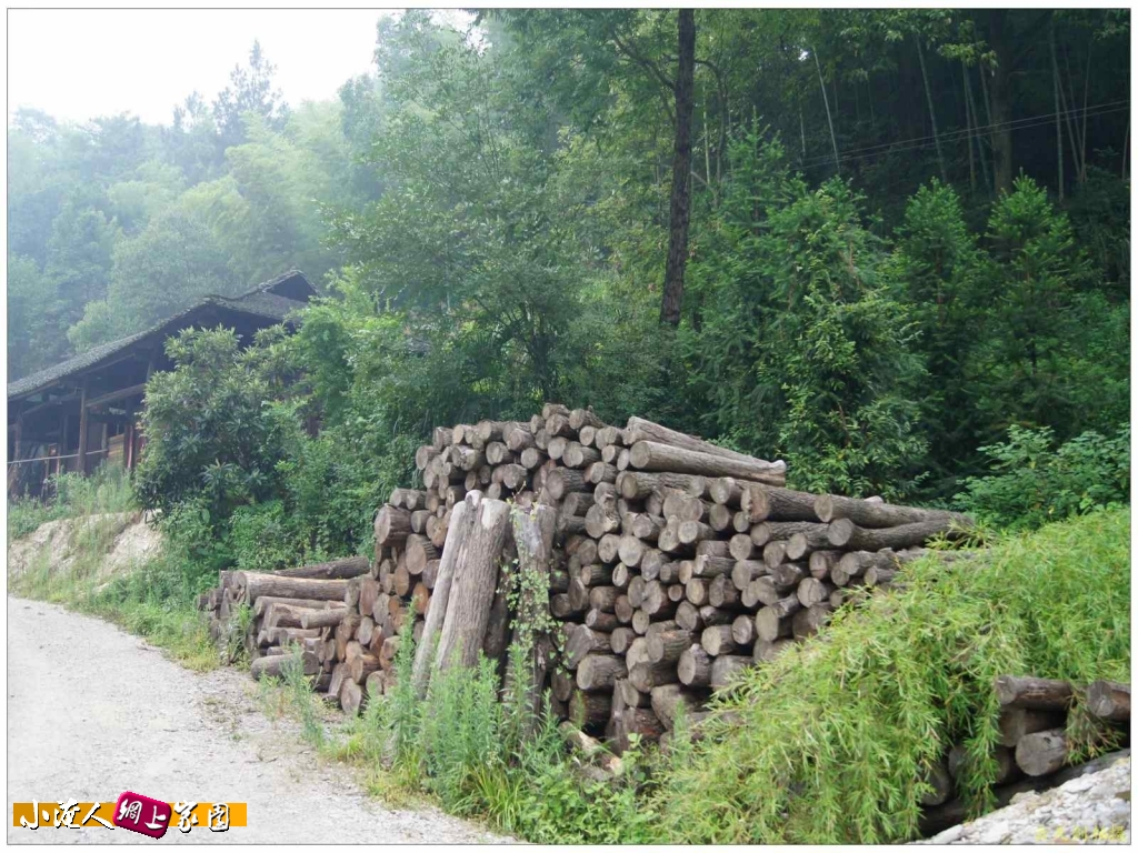 conew_dsc01015_conew2.jpg