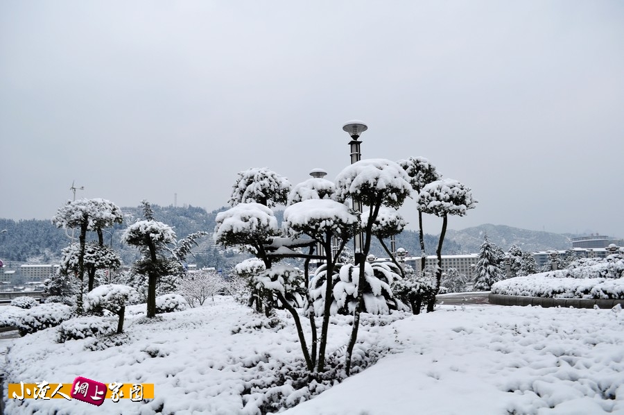 DSC_2246.jpg