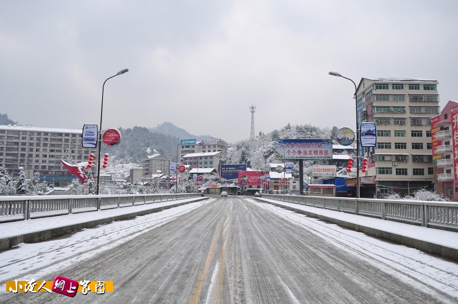 DSC_2263.jpg