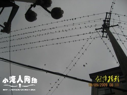 照片 065_conew1.jpg