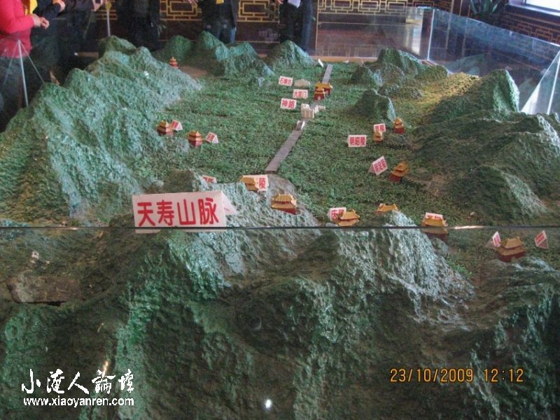 照片 890_conew1.jpg